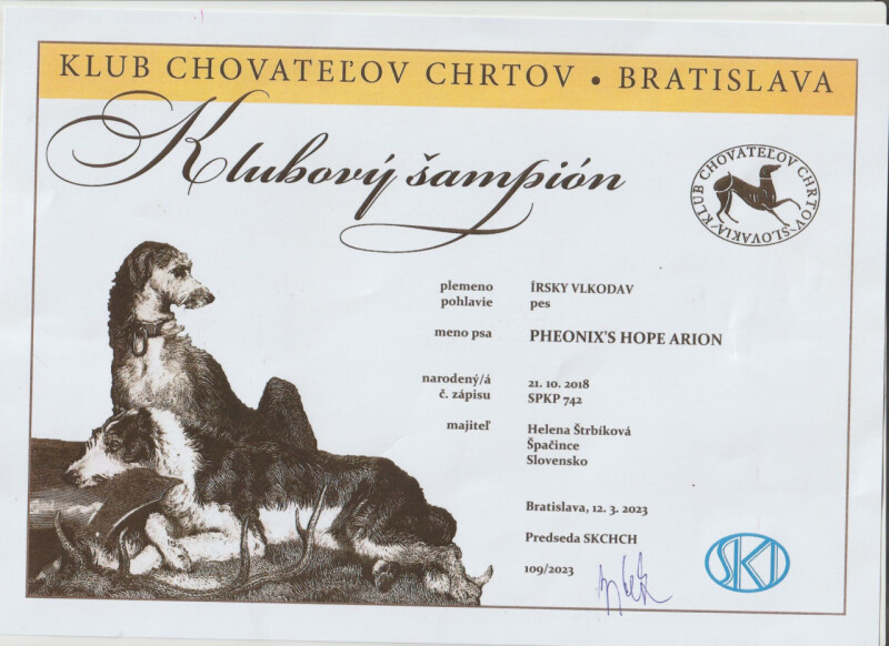 Klubovy sampion